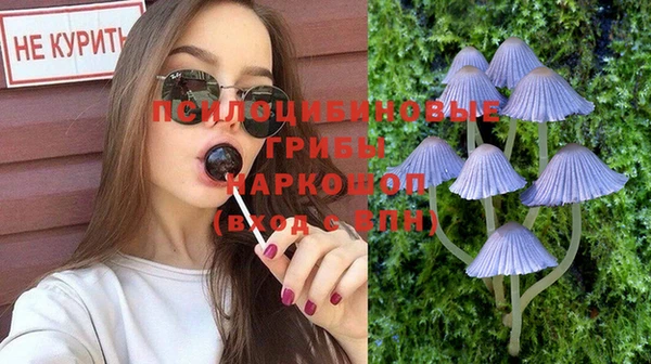СК Остров