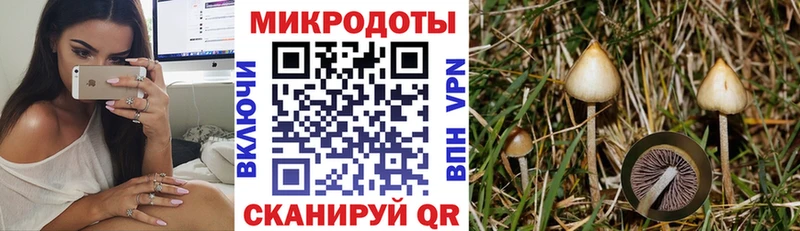 Псилоцибиновые грибы Psilocybine cubensis  Купить закладки  Донской 