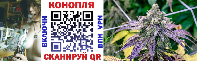 Бошки Шишки Amnesia  Купить  Донской 